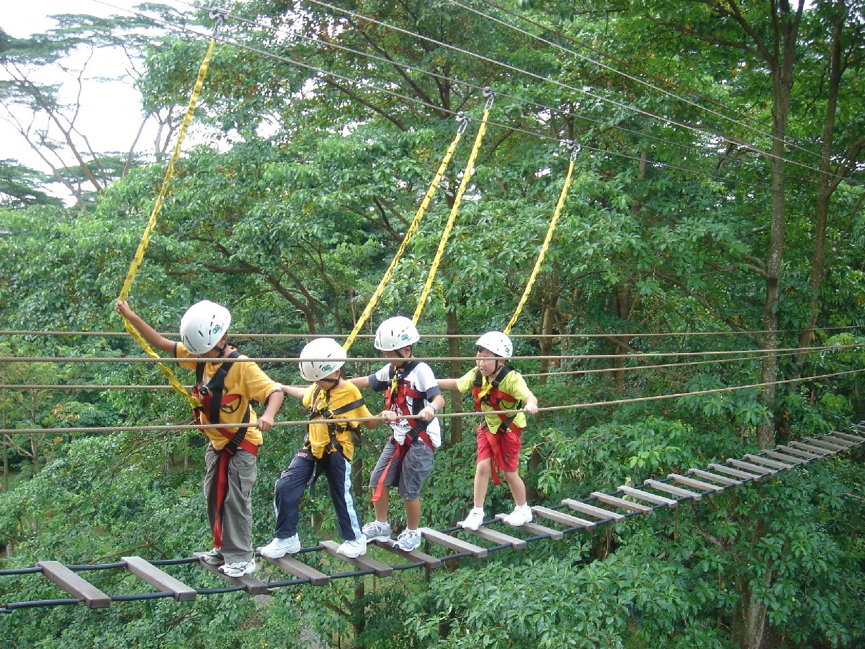 Activities_team_building_canopy_challenge_walk